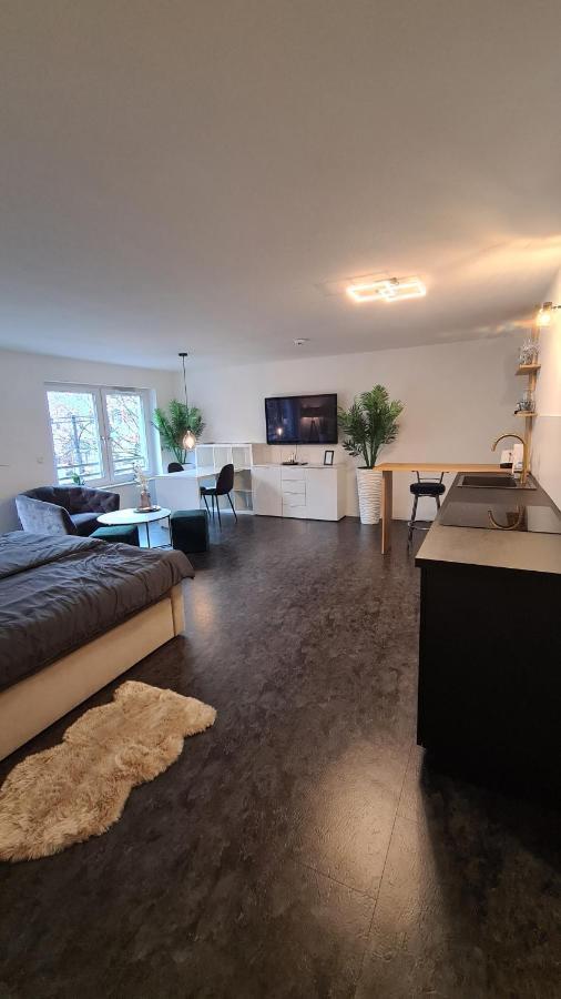 Exklusives Und Zentrales Wohnen Direkt Am Marktplatz Apartment Balingen