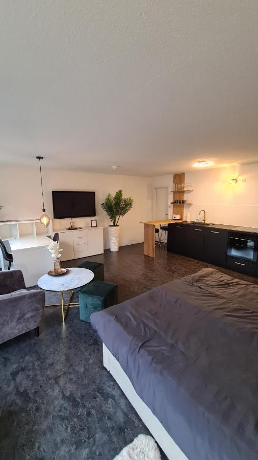 Exklusives Und Zentrales Wohnen Direkt Am Marktplatz Apartment Balingen